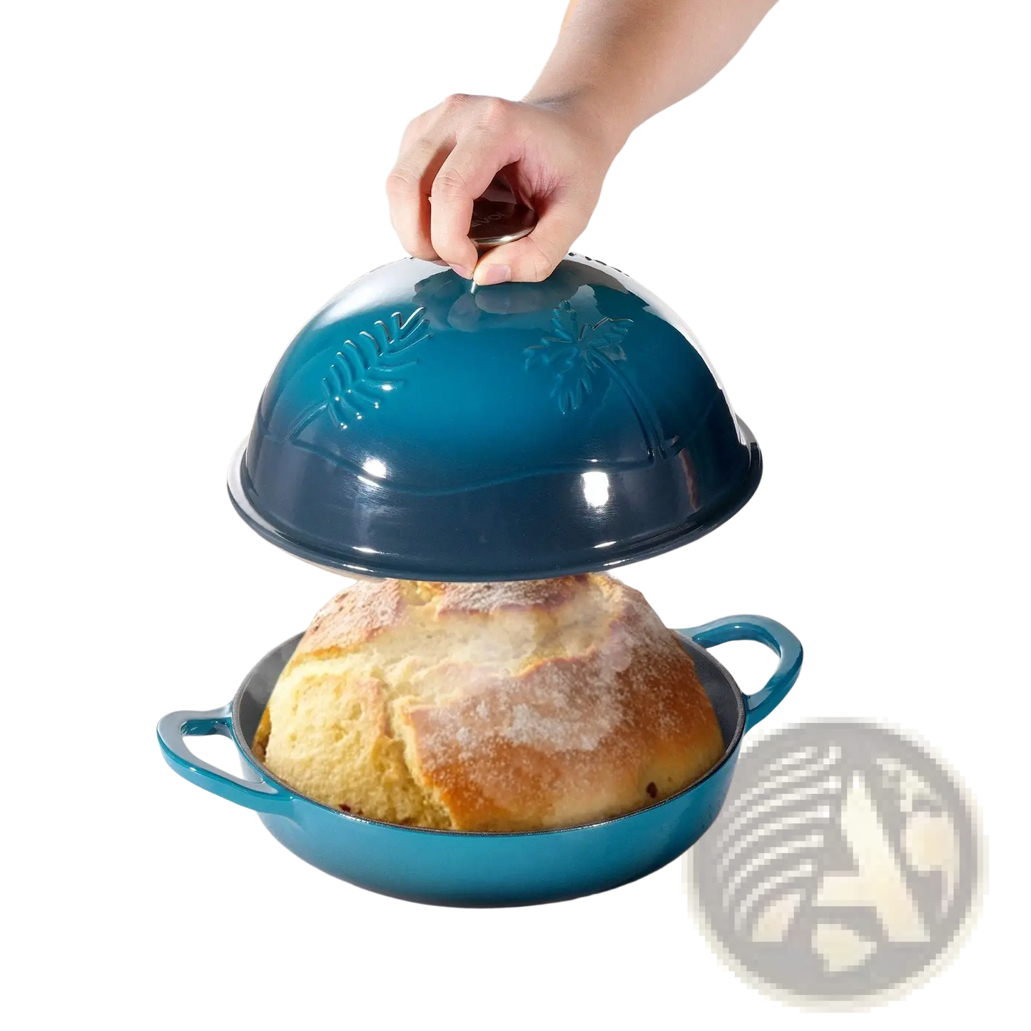 5 Qt Enameled Cast Iron Dutch Oven with Palm Design