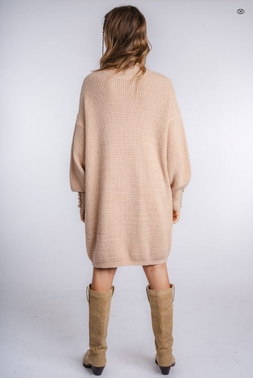 Silk & Salt Turtleneck Dress One Size