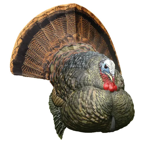 A realistic wild turkey costume headpiece with a fanned tail, textured brown and gray feathers, and a red wattle, shown on a plain white background.