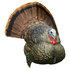 A realistic wild turkey costume headpiece with a fanned tail, textured brown and gray feathers, and a red wattle, shown on a plain white background.