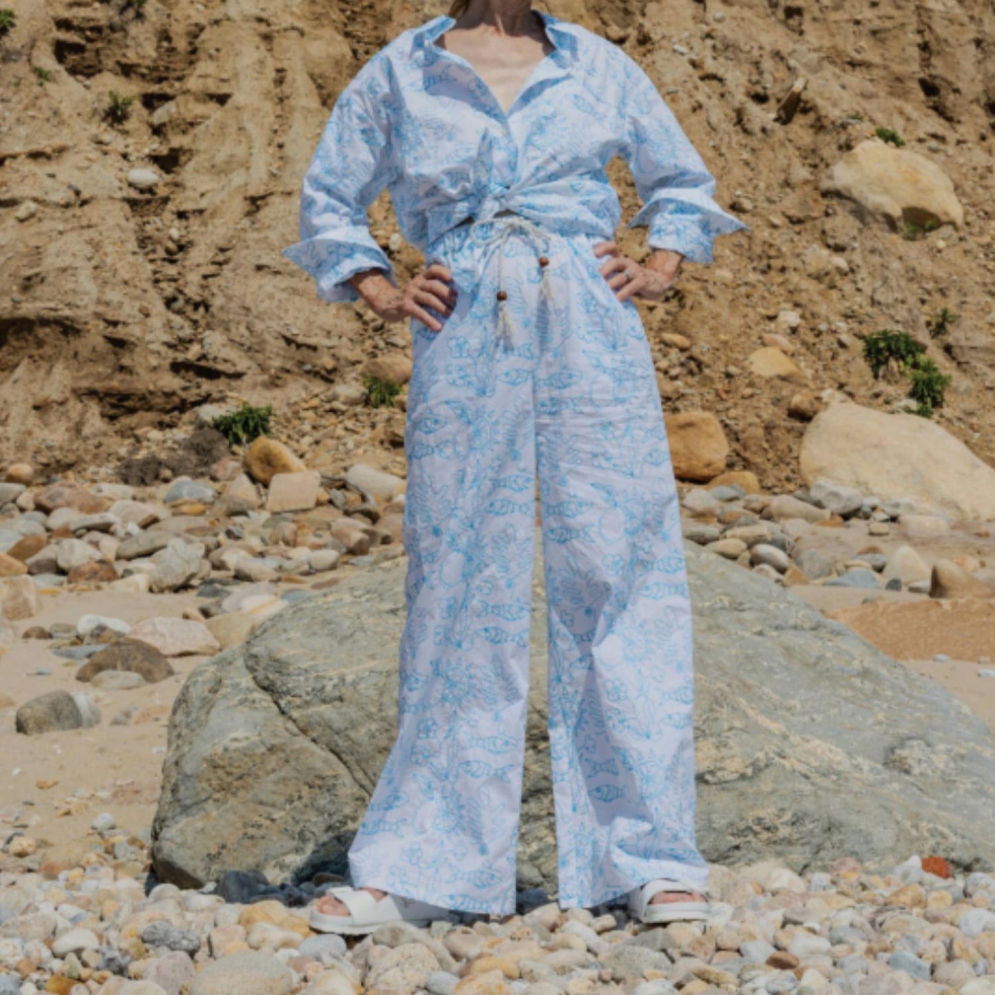 Lingua Franca - Petra Pant