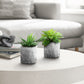 6" Tall, Artificial Plant, Succulent, Indoor, Faux, Fake, Table, Greenery, Potted, Decorative (Set of 2) - Green / Gray