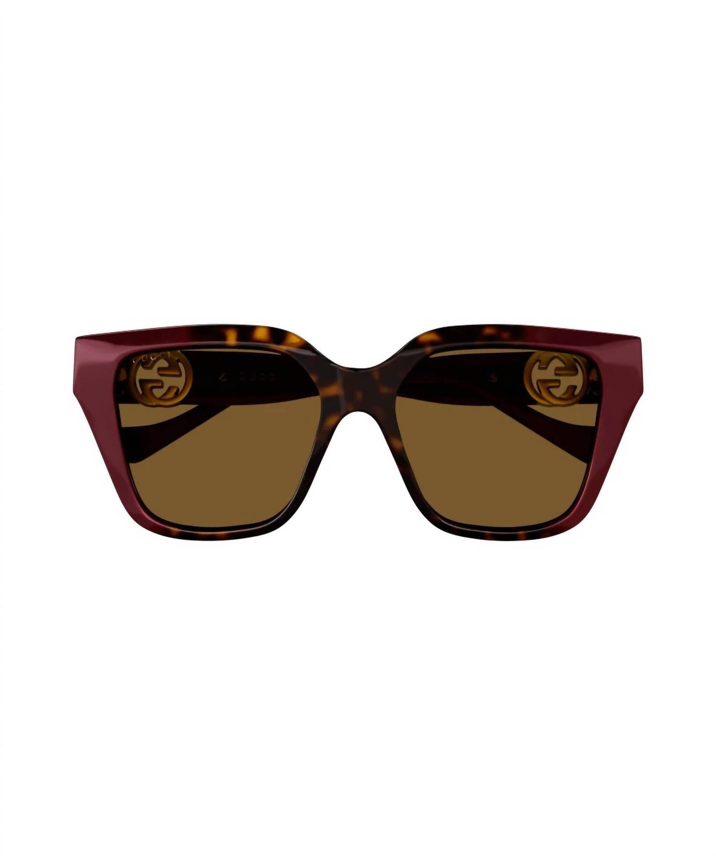 Gucci - Women's Square Injected Sunglass