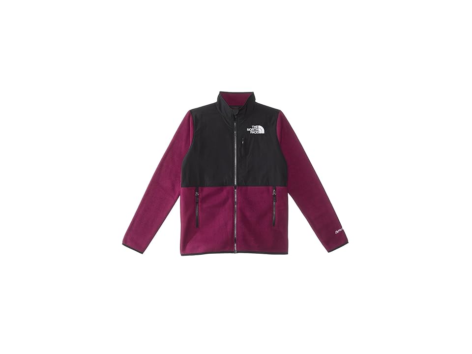 the-north-face-kids-denali-jacket-boysenberry