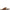 danner-mens-lost-coast-outdoor-sandal