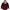 stormy-kromer-womens-swallowtail-sherpa-lined-winter-jacket