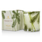 Thymes, Candle Frasier Fir Pine Needle Medium