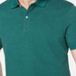 Club Room Men's Short Sleeves Colla Polo Shirt Green Size XXL