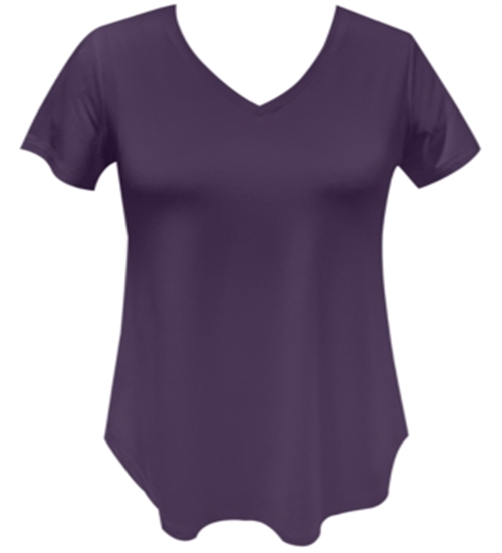 JM Collection Women's V Neck T-Shirt Purple Size Medium