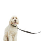 Ariat - Dog Leash