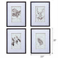 Verdura Botanica: Four-Print Houseplant Pencil Art Set