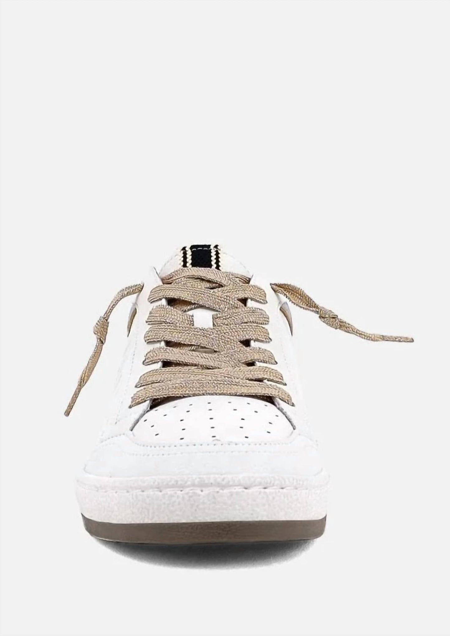 Shu Shop - Women's Snake Laceup Sneaker