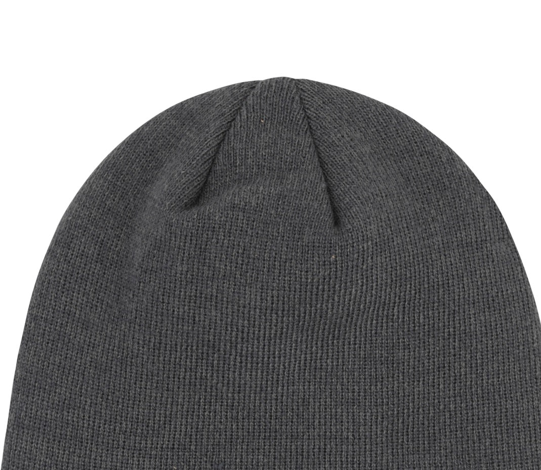 Champion Men's Foxhill Fleece Lined Knit Beanie Hat Gray Size Regular