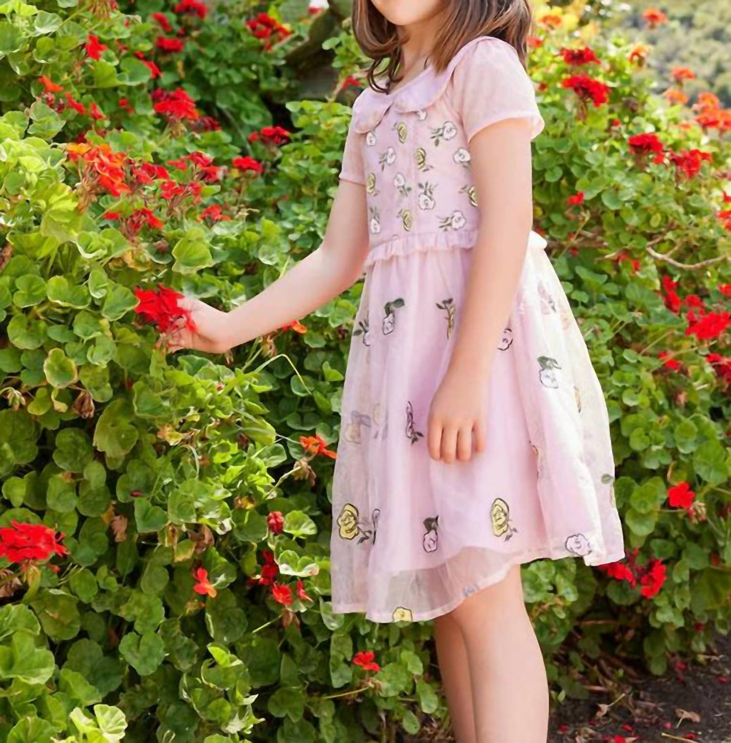 Sasha+Z - Rose Embroidered Collar Dress
