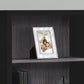 5 Tier For Office Bookshelf, Bookcase, Etagere, Contemporary & Modern