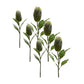 Green Protea Leaf Stem (Set of 6)