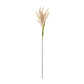 Astilbe stem (set of 12)