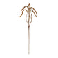 Amaranthus stem (set of 12)