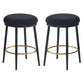 Stylish Design Counter Stools (Set of 2)