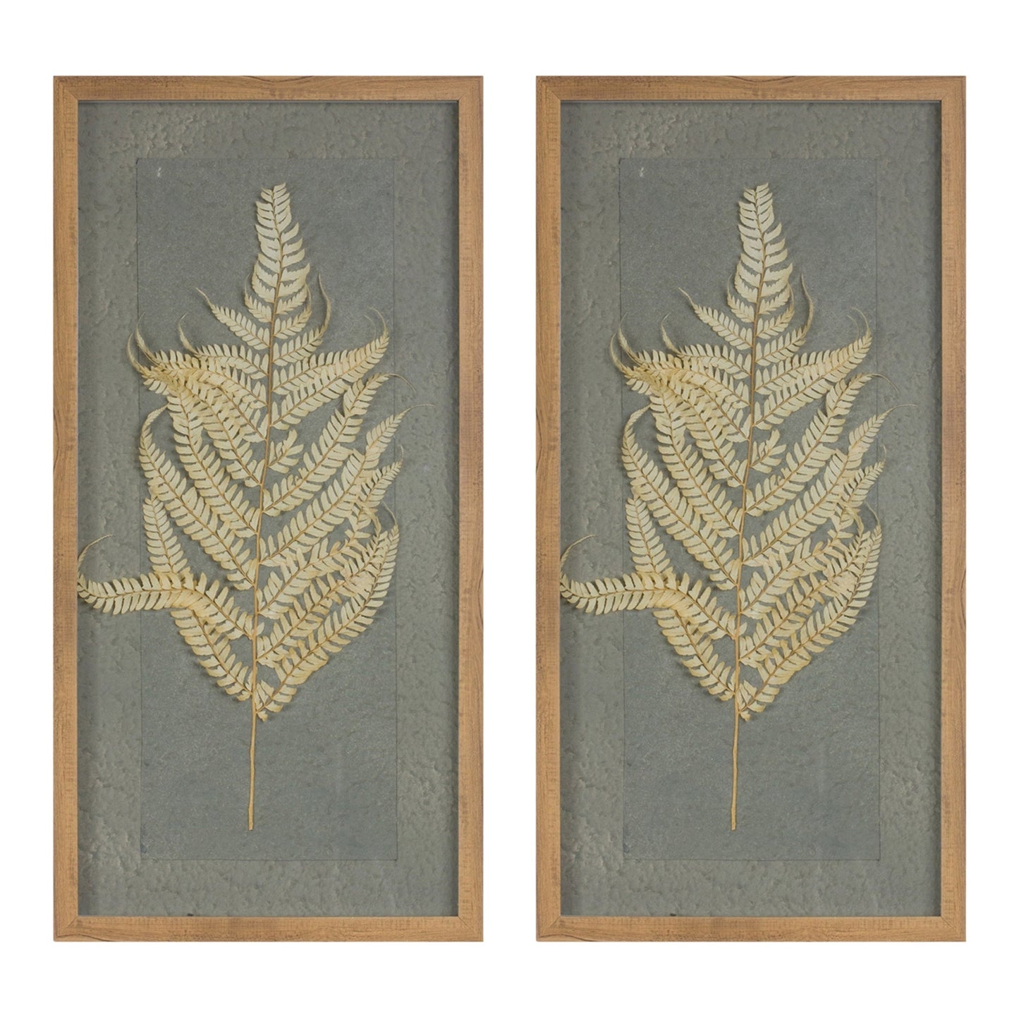 Dried Fern Frame Set of 2
