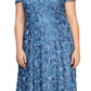 Alex Evenings Women's Rosette Lace Short Sleeve A Line Gown Blue Size 14W