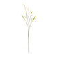 Foxtail Spray (Set of 6)