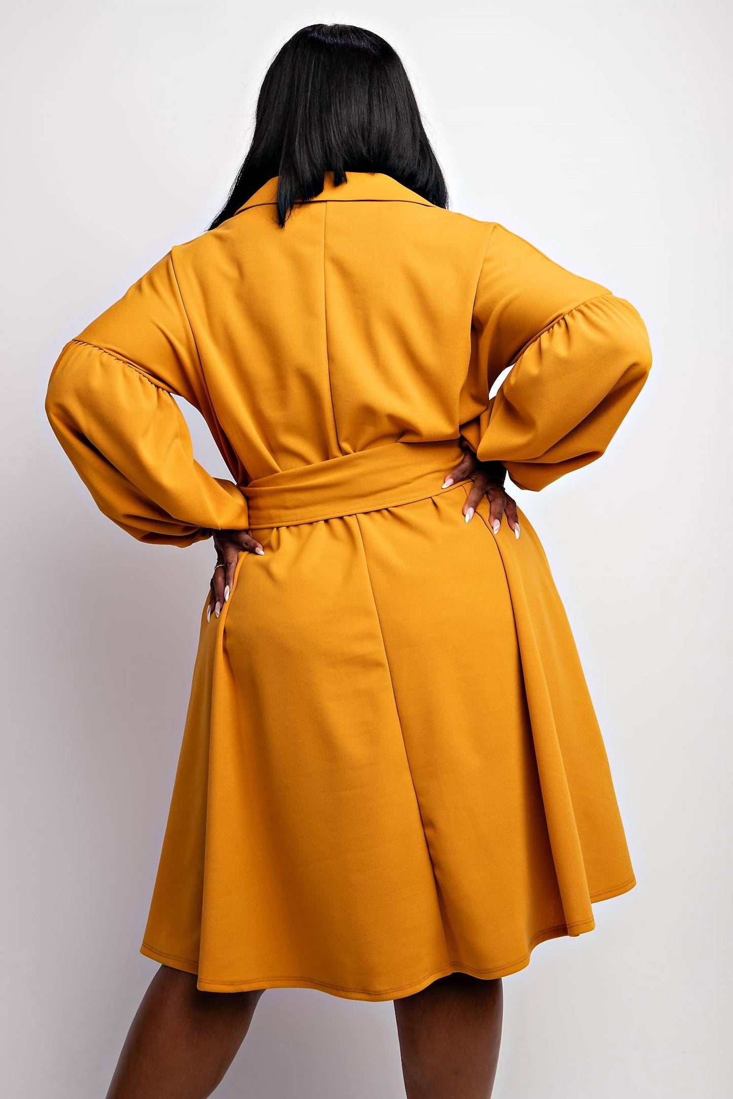 The Curve La - Plus Size Button Front Fit And Flare Dress With Pockets
