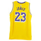 NBA Nike Los Angeles Lakers Lebron James #23 Ed 2020 Swingman Jersey 52