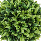 5" Tall Artificial Plant Grass - Set of 3