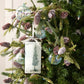 Tis the Season Pine Tree Ornament (Set of 12)