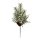 Pine with Tallow Berry Spray (Set of 6)