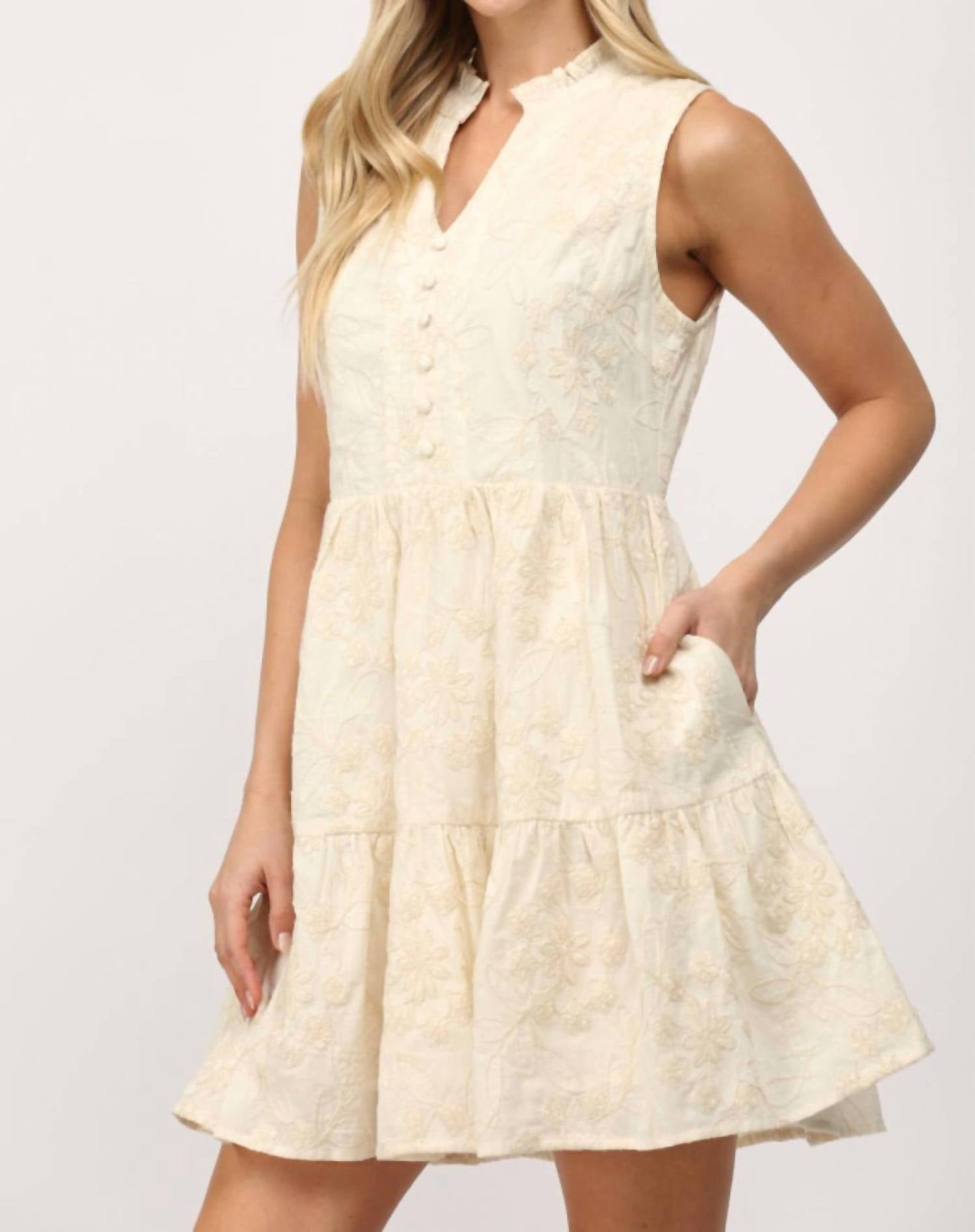 Fate - Ruffled Sleeveless Embroidered Dress