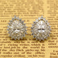 Silver-Tone Multi-Cut Tear Drop Earring with Genuine Crystals