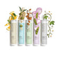 Paul Mitchell Clean Beauty Hydrate Shampoo 8.5 fl oz - New