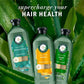 Herbal Essences Eucalyptus Sulfate Free Shampoo, For Dry Scalp 13.5 fl oz - Imperfect Container
