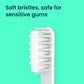 quip Sonic Brush Head Refill 2ct - Imperfect Box