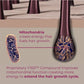 BosleyMD Revive + Densifying Hair Regrowth Serum for Women 1 fl oz - Missing Box