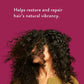 Native Blackberry & Green Tea Strengthening Hair Shampoo 16.5 fl oz - New