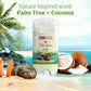 Old Spice Mens Solid Deodorant Fiji with Palm Tree Scent 3oz/2pk - Imperfect Container
