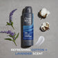 Dove Men+Care 72-Hour Dry Spray  3.8oz/2ct - New