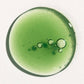cocokind Chlorophyll Discoloration Face Serum 1oz - New