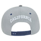 California Cali Dark Animal Snake Skin Faux Grey Blue Snapback Flat Bill Hat Cap