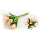 at-home-w-jorge-parez-13-real-touch-parrot-tulip-bundle-12-stems-2