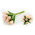 at-home-w-jorge-parez-13-real-touch-parrot-tulip-bundle-12-stems-2