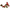 mark-roberts-9x6-hand-painted-cardinal-on-branch-resin-sculpture