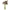 at-home-w-jorge-perez-15-real-touch-ranunculus-bundle-10-stems-1