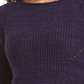 Style & Co Women's Textured Long Sleeve Jewel Neck Sweater Purple Size Petite X-Large