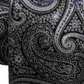 Ryan Seacrest Distinction Men's Gardenia Paisley Slim Silk Tie Black Regular