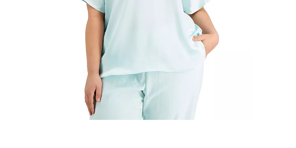 Alfani Women's Plus Size V-Neck Top Blue Size 2X