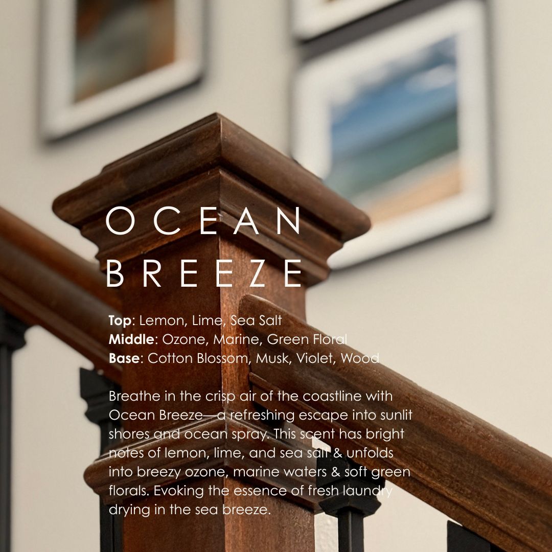Ocean Breeze Car Diffuser